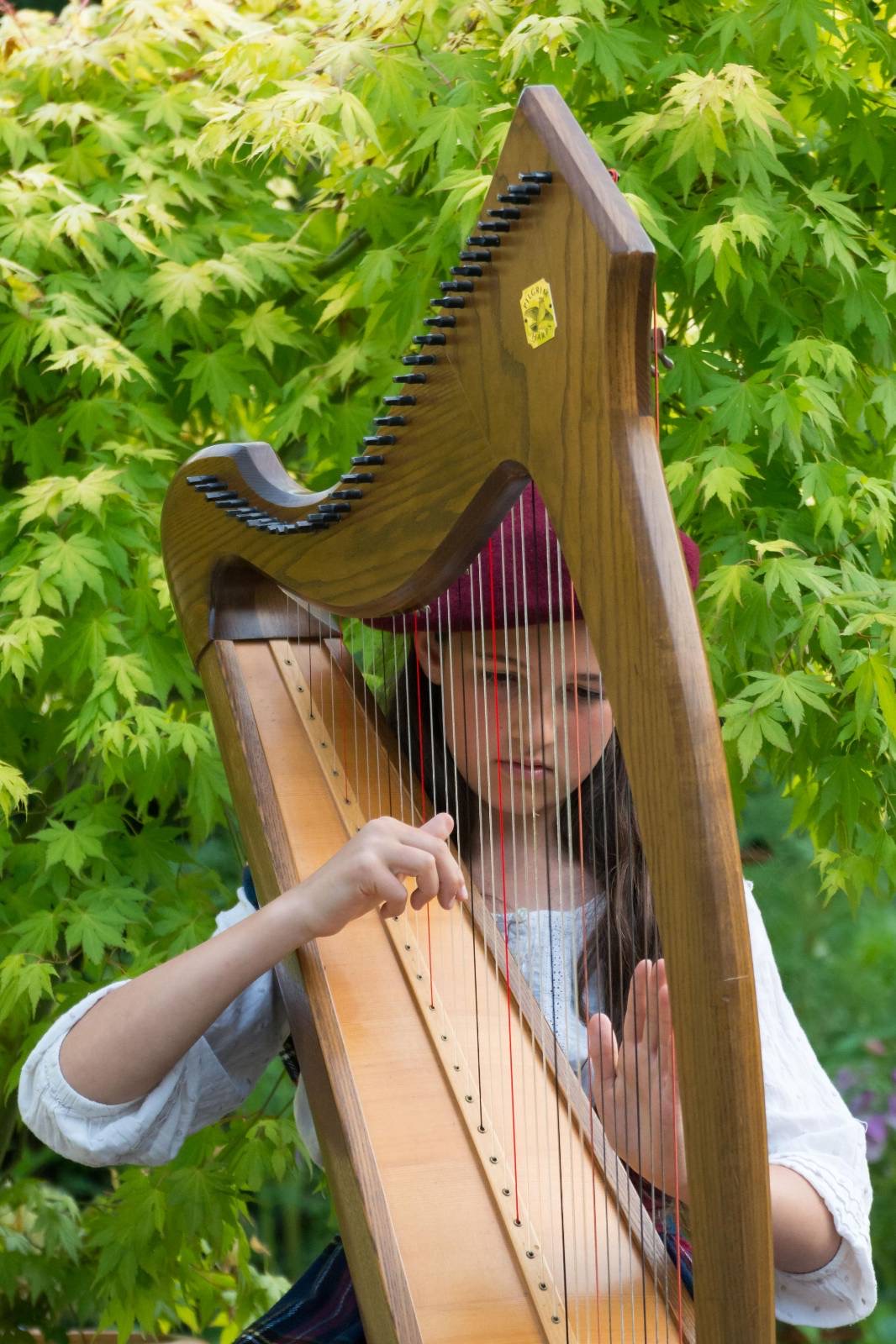 Harp student 5